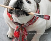 Piper Stone The Painting Bulldog posing with her paintbrush, hat and scarf - Fine Art Dog Photography - Special Needs Dog Photo - 5x7