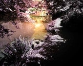 Mingus Park in Pink and Purple, Lovely Pond, Nature Photograph, Bridge, color pop, Oregon, Home Decor, 8.5 x 11 Fine Art Print