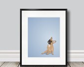 Blask Mask Red Fawn French Bulldog - Illustrated Print - 8 x 10 Archival Matte