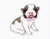 Lentil - French Bulldog Decal Sticker