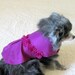 Berry Party Dress for Little Dogs or Cats - Made to Order Taffeta with Shabby Chic Rose Trim