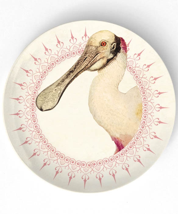 roseate spoonbill - antique artwork enhanced on 10 inch Melamine Plate with softly aged off-white background