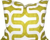 Contemporary.Decorative Throw Pillow Cover.ONE.Artist Green.Embrace.18x18.Accent Pillow.Cushion Cover.Housewares
