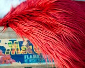 Mongolian Faux Fur Vivid Red - Photography Prop - Newborn/baby Photography Prop - Longer Length, Ready to ship