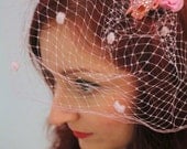 Swarovski Skull Hair Fascinator with Birdcage Veil