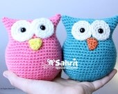PATTERN Instant Download O-SO-CUTE Owl Crochet Amigurumi doll