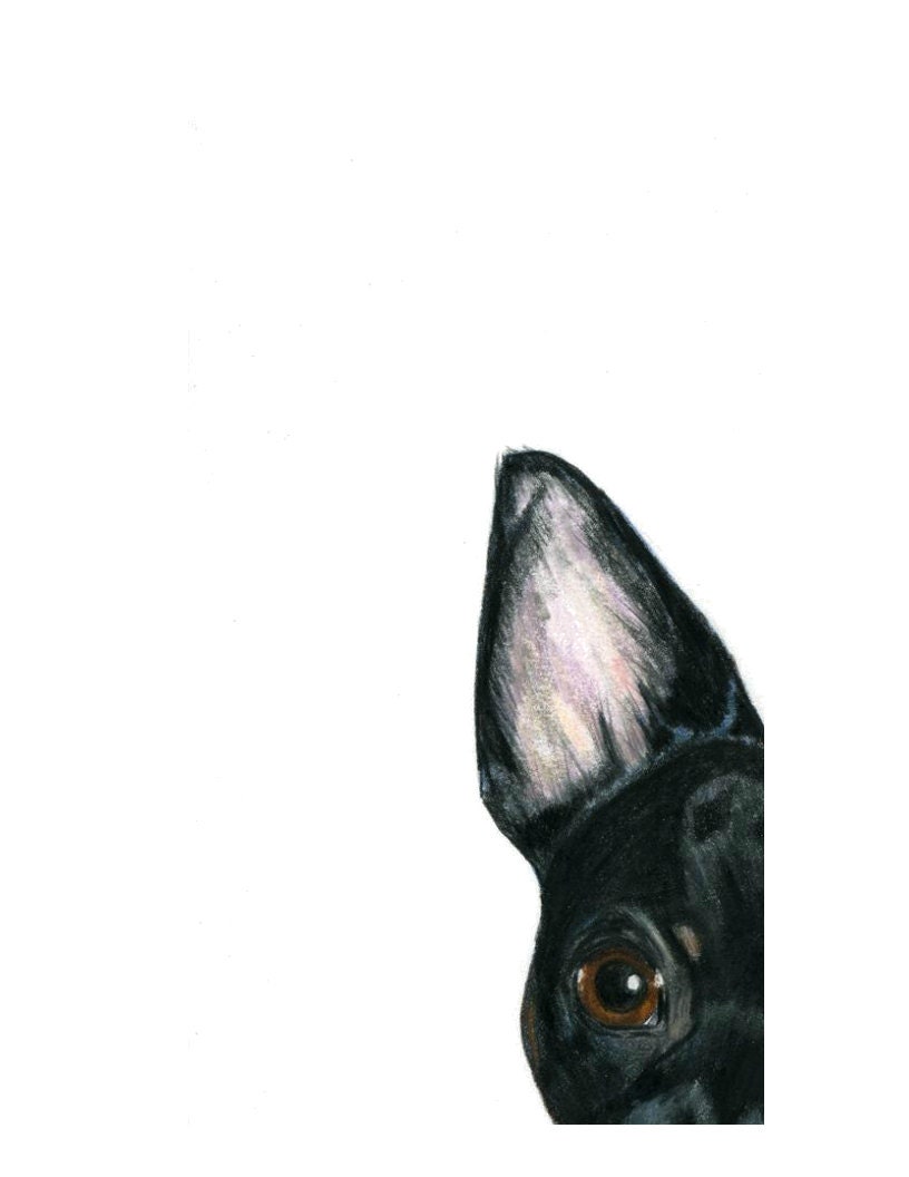 Terrier Dog Peek A Boo Art Print: Fine Art Giclee Signed by Deb Gardner