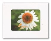 GREETING CARD Nature Photography, Flower, Eco Friendly, Handmade