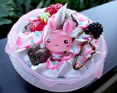 Chocolate strawberry case
