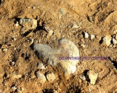 99 Cents- LOVE ROCK-jpg. Vintage Page Digital Art Print Mixed Media