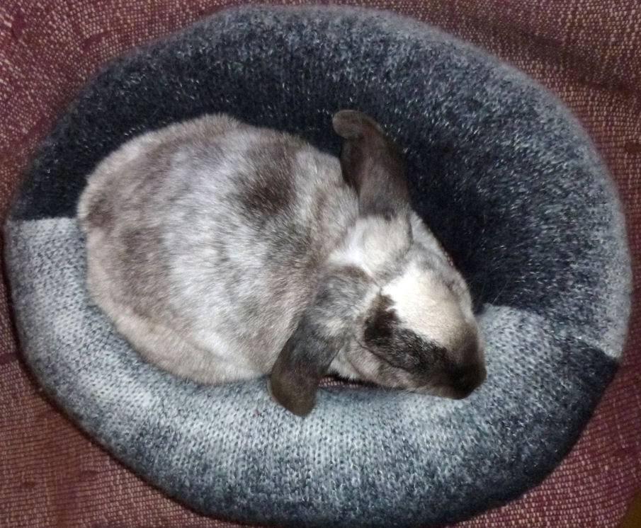 Ugli Donut rabbit bed for a small sized bunny Ombre heathered wool hand knitted grey and white