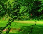 Golf Course Photograph
