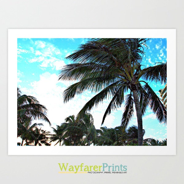 Palm Trees Photo  - Miami South Beach SoBe Sunny Florida Photography print nature foliage epic spring summer 5x5 5x7 8x10 10x10 11x14