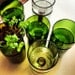Recycled Self Watering JUMBO Wine Bottle Planter Complete Kit - Grow Basil or Parsley