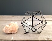 Wide Mouth Frog // recycled glass terrarium