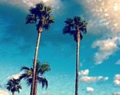 Palm Trees Photography 5x7 Beach Heart Bokeh Blue Skies Palm Trees Venice Beach California Love