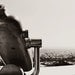 Griffith Observatory 5x7 Black and White Photography Griffith Park California Landscape Viewfinder Monocular Los Angeles