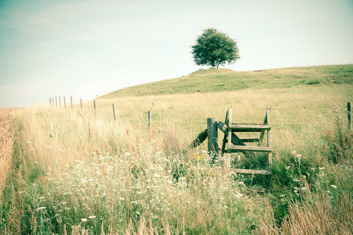 Dream Land- Fine Art Photography- Archival paper 8x12