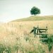 Dream Land- Fine Art Photography- Archival paper 8x12
