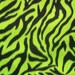 Lime Green Zebra Print Fleece Two Yards