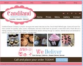 Custom Wordpress Design