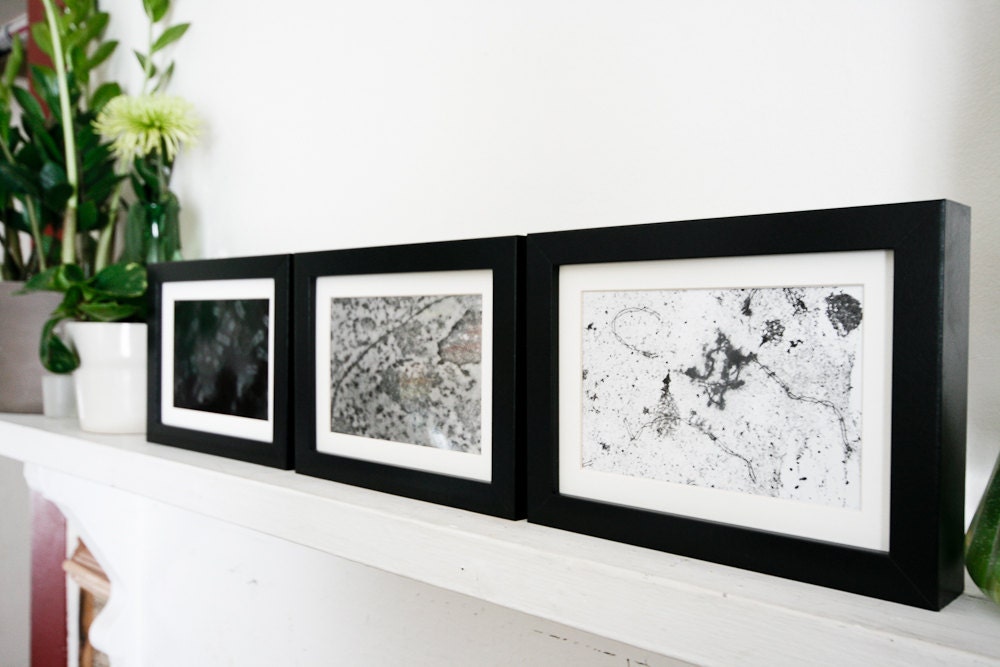 Vintage Science Original Microscope Print - Set of three 5x7