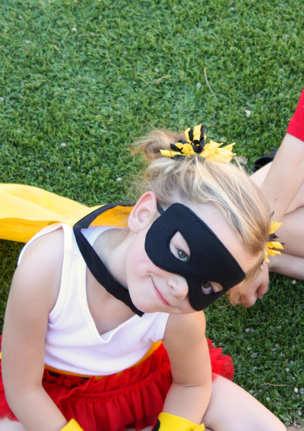 Robin Mask: Dress Up / Halloween