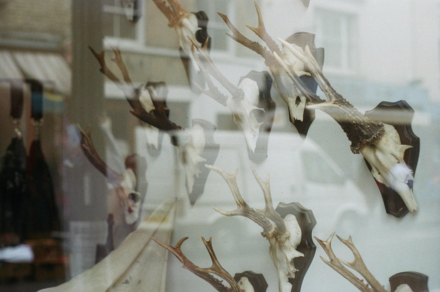 Reflection  - 7 x 5 Fine Art Photography Print from 35mm film