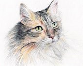 Custom Pet Portrait - Original Drawing