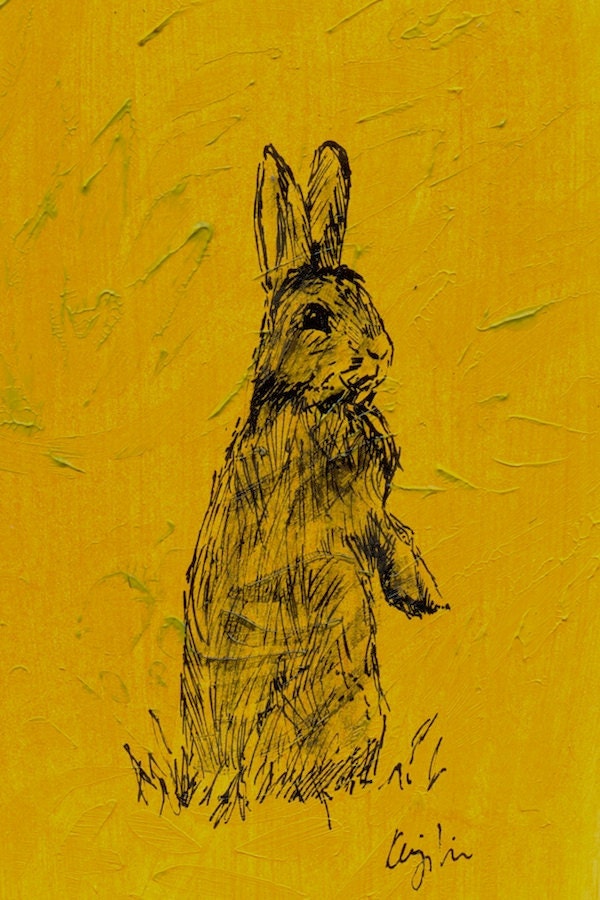 Pack of 6 Fine Art Greetings Cards 'Rabbit'