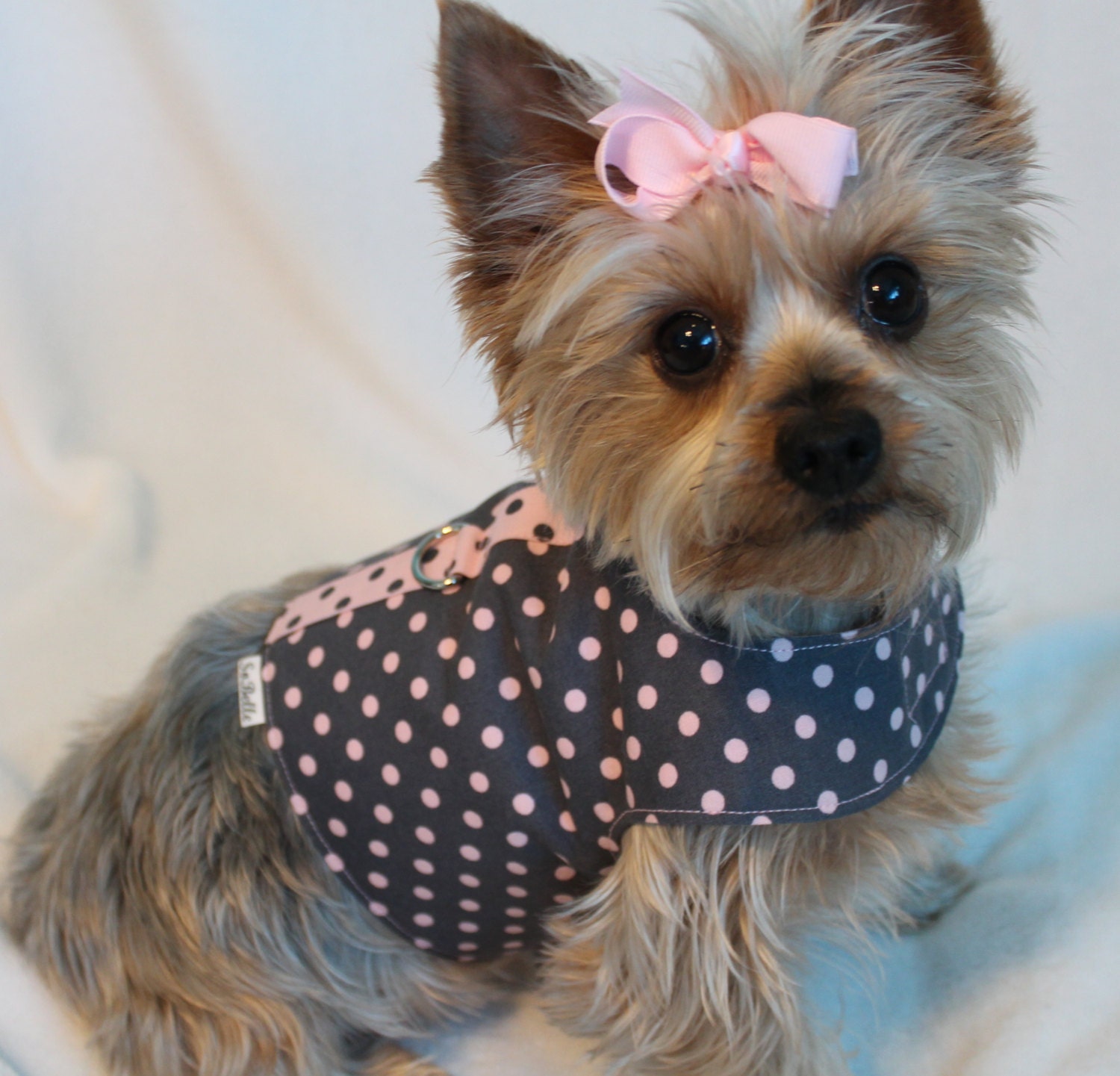 XSMALL Pink on Gray Polka Dot Dog Harness