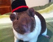 Guinea Pig Hat Clothing Accessories -The Gentleman's Guinea Pig Bowler Hat - Costume Clothes Fashion Prop