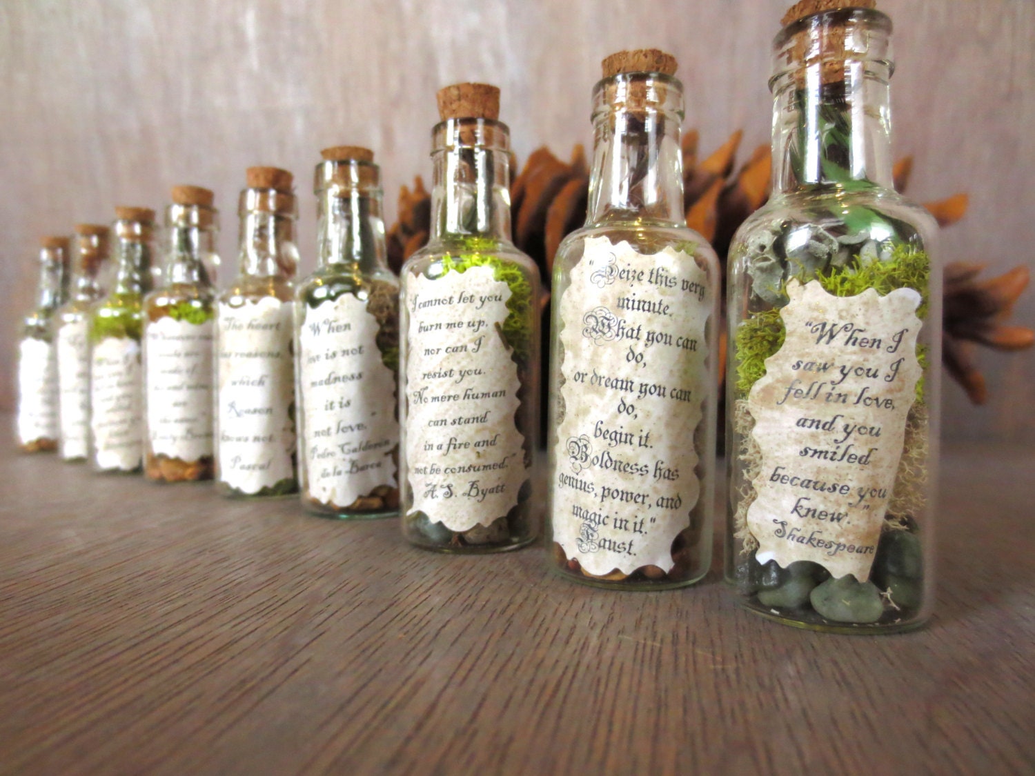I Cannot Let You... Message in a Bottle Encouraging Message Inspirational Quote Miniature Terrarium Classic Quote in a Bottle