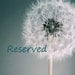 RESERVED FOR GAIL