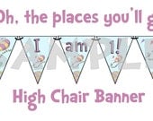 Dr Seuss Oh the places you'll go High Chair Banner I Am One pink girl other party supplies avaliable