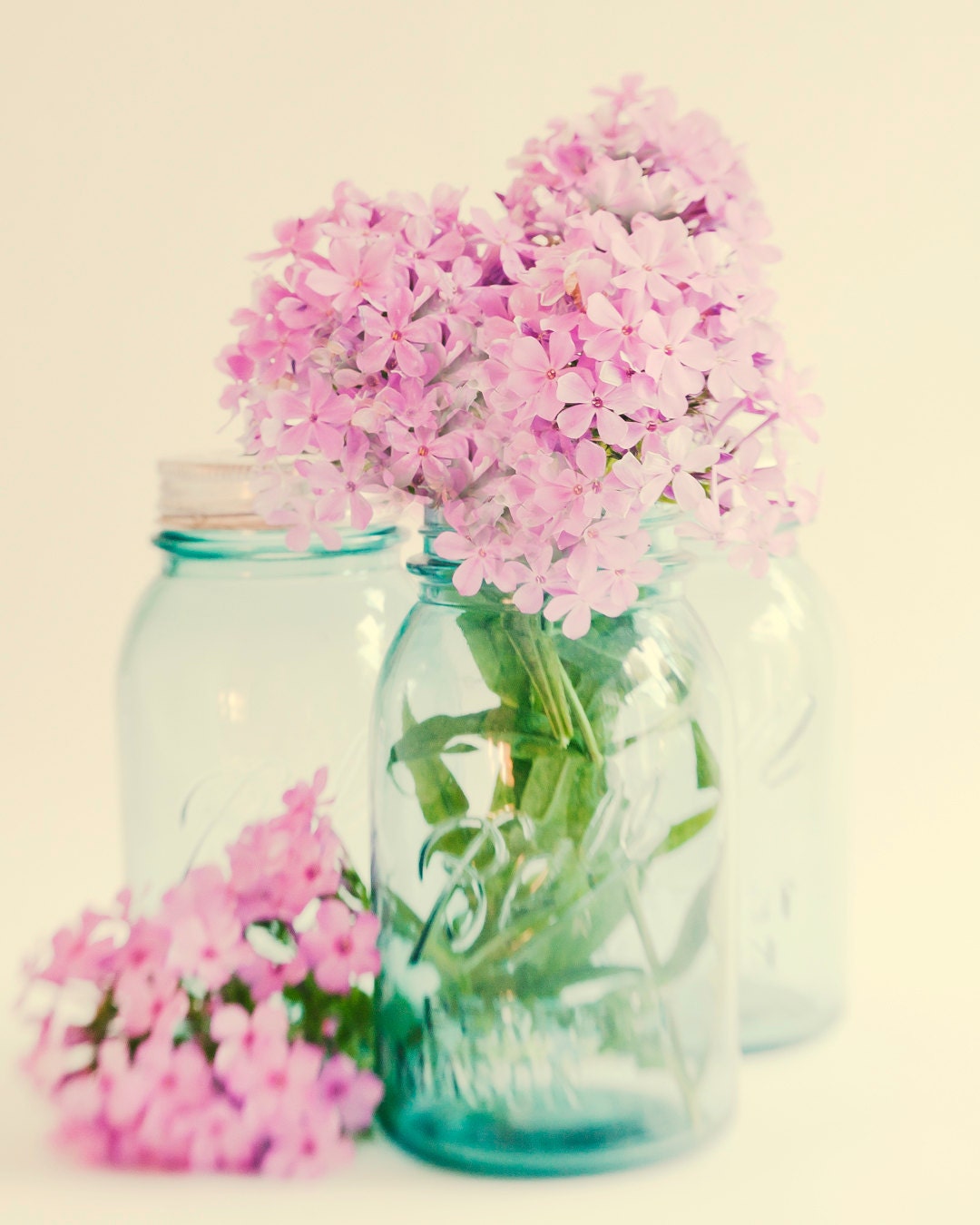 Purple Phlox Photograph,  Home Decor, Warm Vintage,  Purple,  Nature, Wall Art, Mason Jar, Shabby Chic