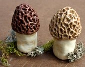 Rustic Ceramic Morel Salt and Pepper Shakers- handmade, home decor, kitchenware, gift idea, mushrooms, salt shakers, mycology