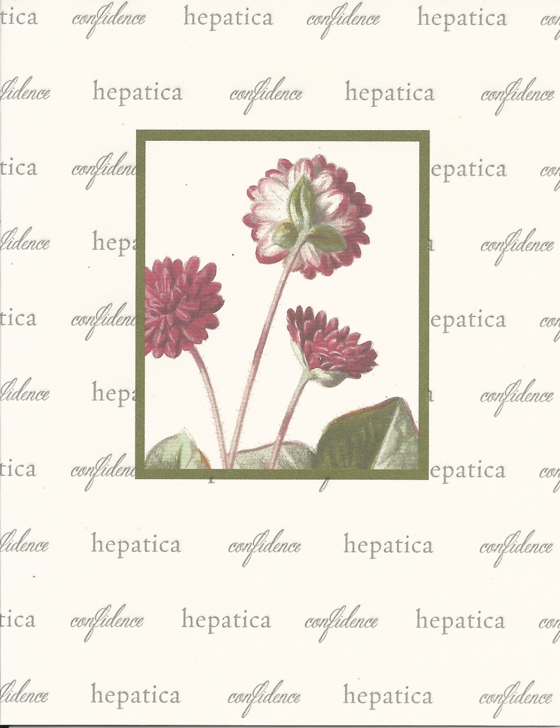 B103 CONFIDENCE botanical letterpress notecard