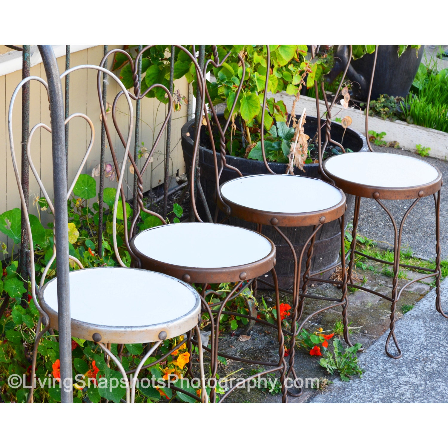 Whidbey Island rustic chairs photograph - 10x8, heart shaped chairs, metal chairs, unframed