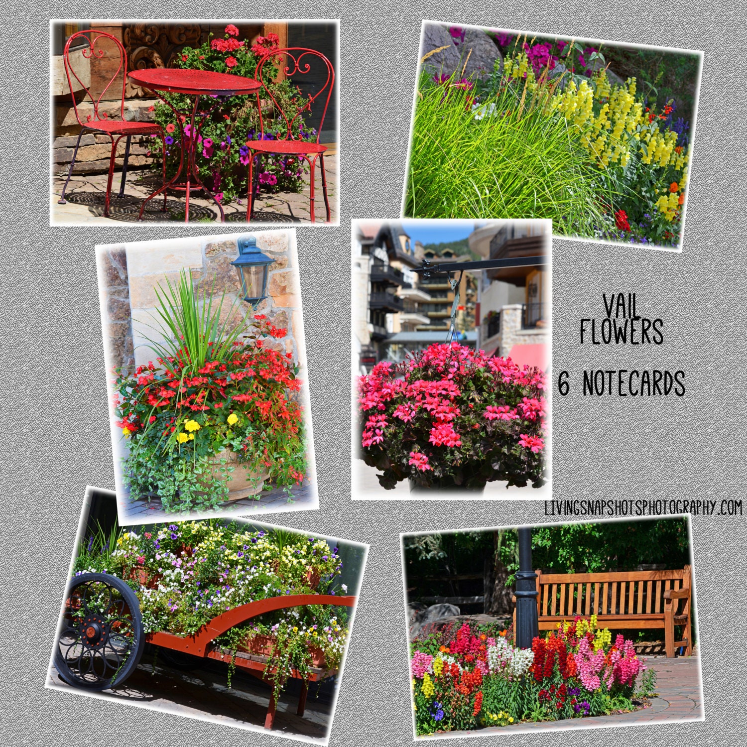 Blank Notecards Vail flowers, CO - 6 different photo print greeting cards with envelopes