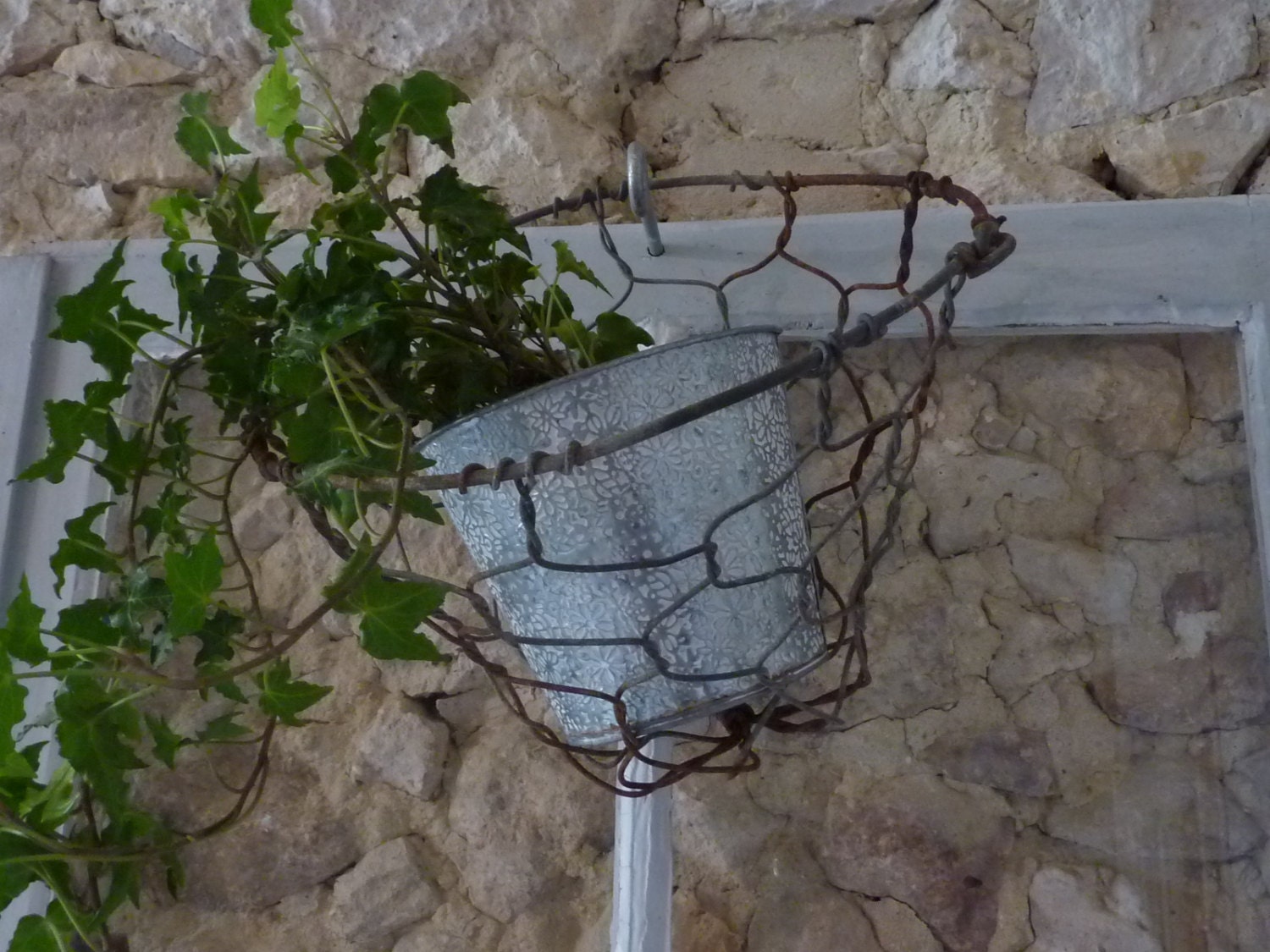 French Wire Basket-Horse Muzzle from the 1880's - Basket or Flower Planter