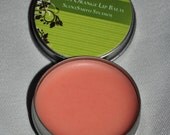Shea and Cocoa Butter Lips Balms in Tins - Vibrant Colors - Sweet Orange