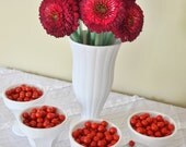 Painted White Vases for Party or Table Decor