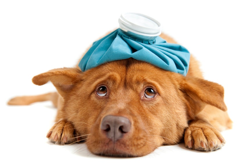 Hypnosis for Headaches