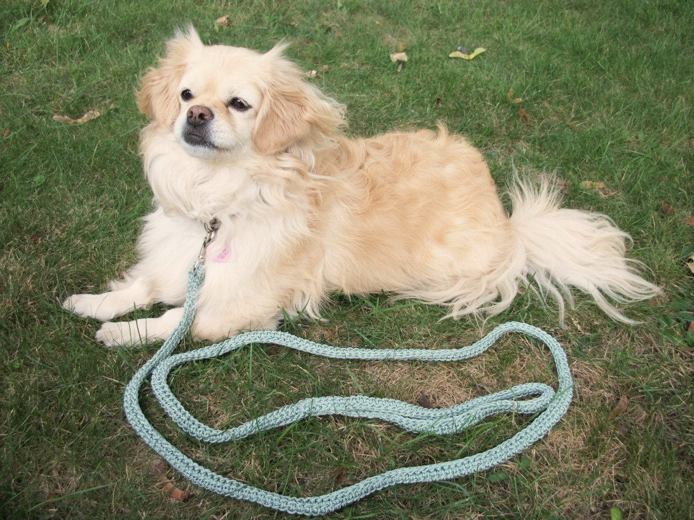 Green Dog Leash for Small Dogs Six Foot Length Seagreen