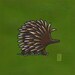 Eric the Echidna-Giclee Print