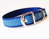 Blue and Turquoise Dot Dog Collar with Metal Buckle Custom Size Small Medium OR Large