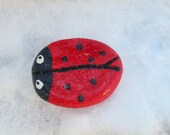 1 Small and 1 Big Handmade Cute Ladybug Brooches for Father's Day/Salt Dough/ Gift for Her/Him/Hand Painted