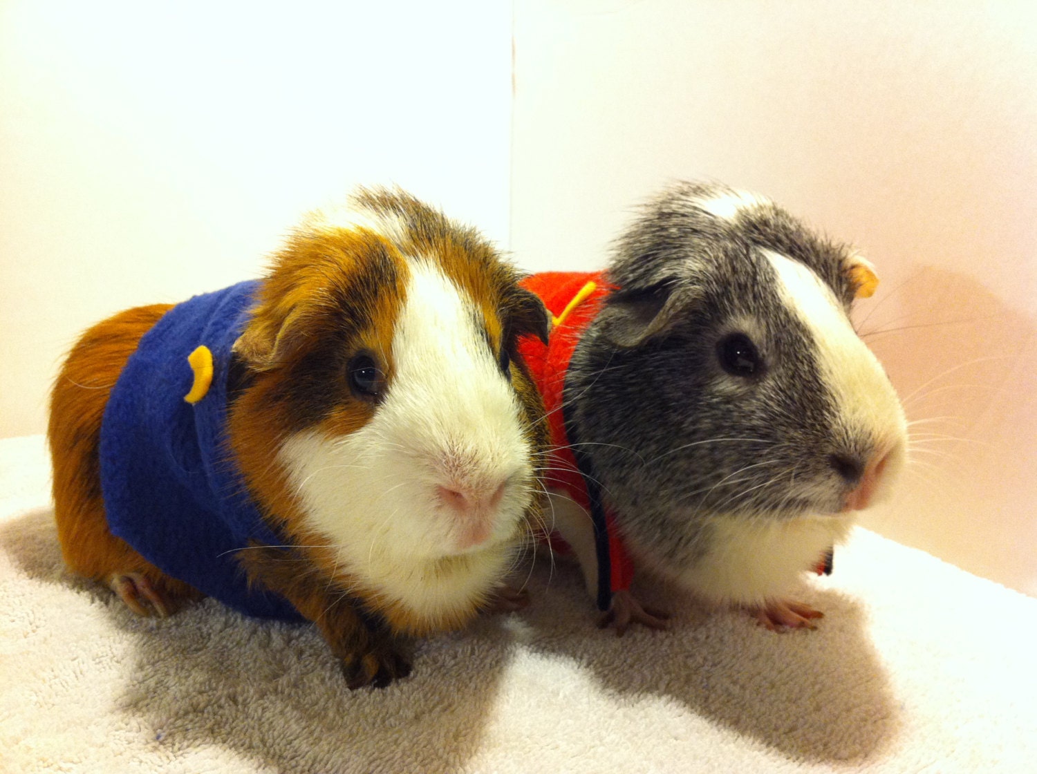 Star Trek Guinea Pig Costume