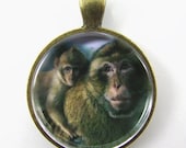 Mother and Child Monkey (CA5) motherhood